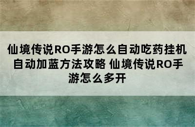 仙境传说RO手游怎么自动吃药挂机自动加蓝方法攻略 仙境传说RO手游怎么多开